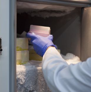 Laboratory freezers.